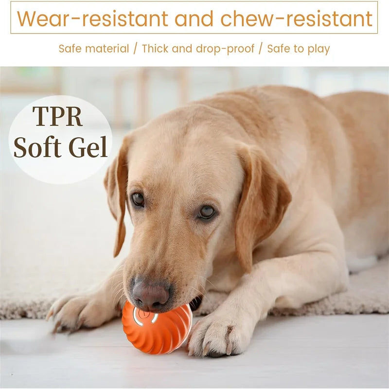 Bouncing dog toy, USB charging
