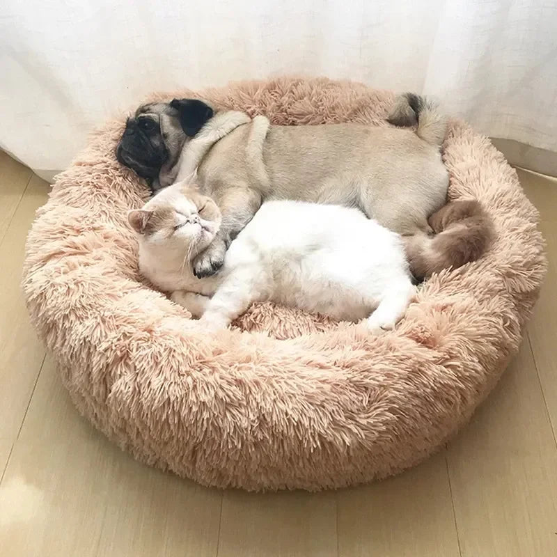 Super Soft Dog Bed