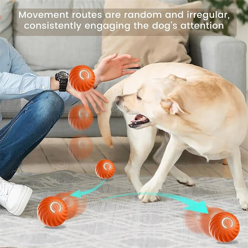 Bouncing dog toy, USB charging